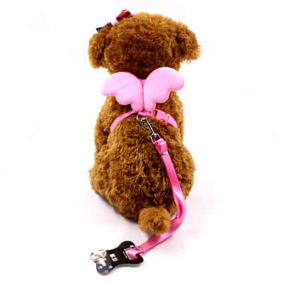 Laisse avec ailes de petit ange pour chien, confortable et stylée, en nylon durable.