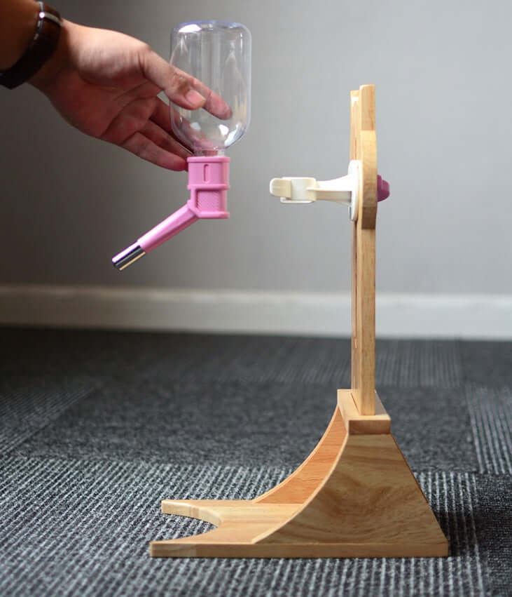 Fontaine à eau pour chats et chiens en bois, distributeur automatique en cours d'installation.