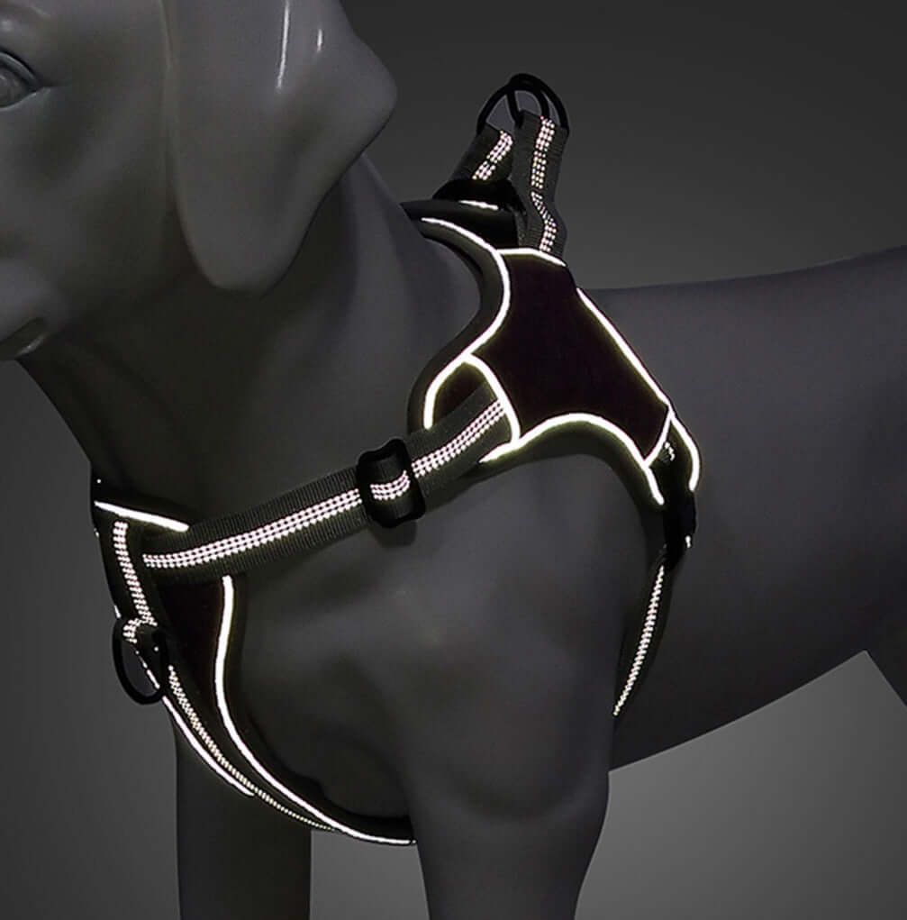 Harnais de poitrine réfléchissant pour chien, confortable et ajustable, idéal pour promenades nocturnes.