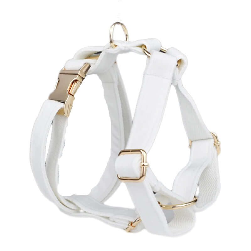 Harnais de sécurité pour chien blanc avec attaches en or, alliant style et confort.
