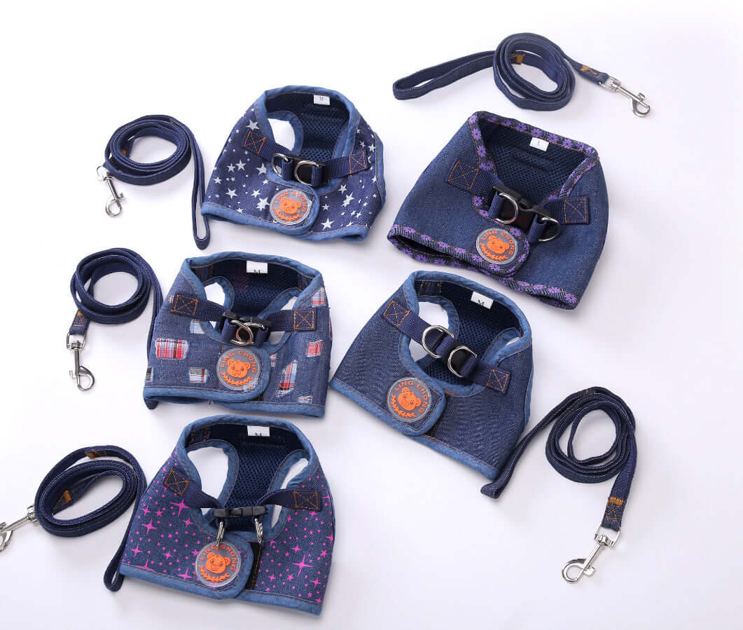 Gilets de randonnée pour chien avec laisses assorties, confort et sécurité pour vos compagnons à quatre pattes.
