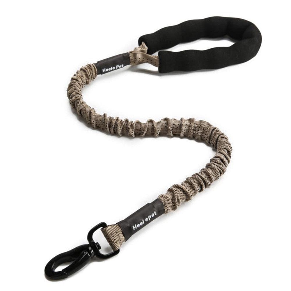 Corde de traction élastique pour chien en coton, idéale pour les promenades sécurisées et confortables.