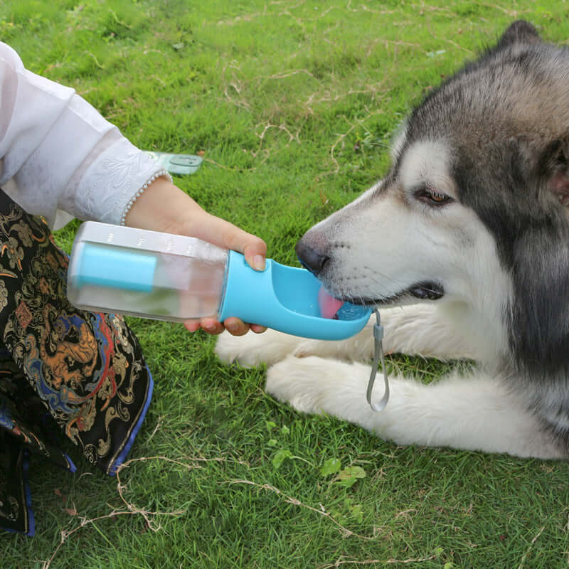 Bouteille d'eau portable 3 en 1 pour chien, pratique lors des promenades en plein air.