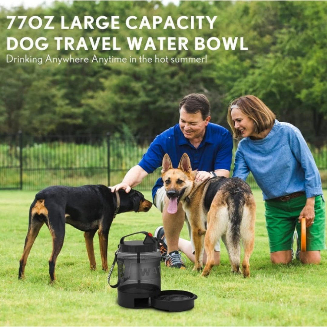 Bouteille d'eau de grande capacité pour chiens, idéale pour l'hydratation en extérieur.