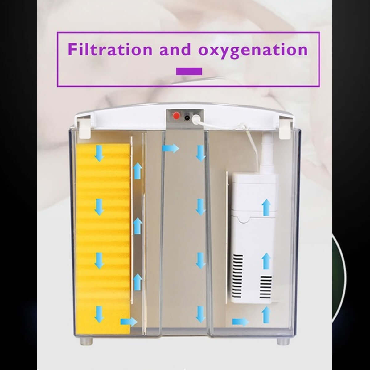 Diagram showing filtration and oxygenation process for an aquarium system with labeled sections.