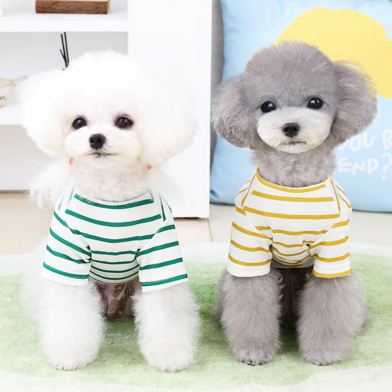 Deux petits chiens en t-shirts rayés, ajoutant du style à votre animal de compagnie.