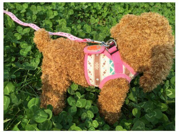 Gilet de randonnée pour chien avec sangle de protection, en tissu durable, style décontracté.