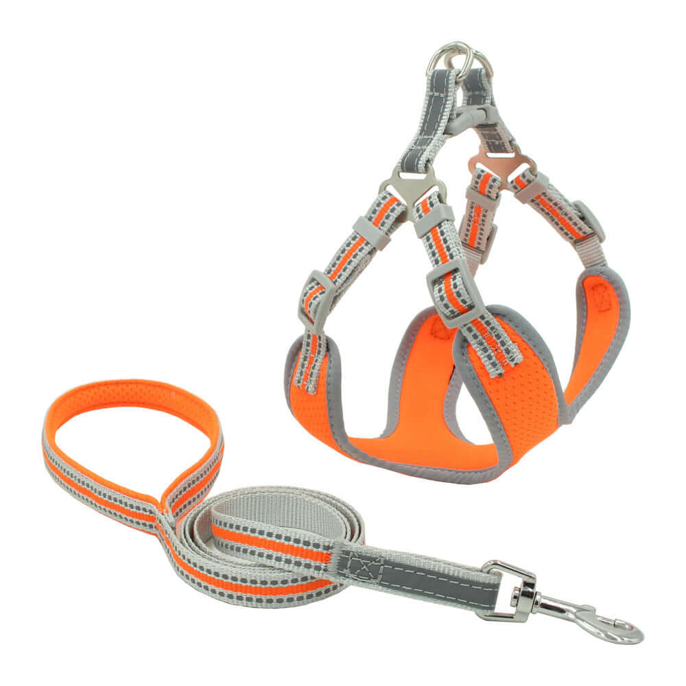 Harnais pour chien en maille réfléchissante orange et grise avec laisse assortie, confortable et durable.