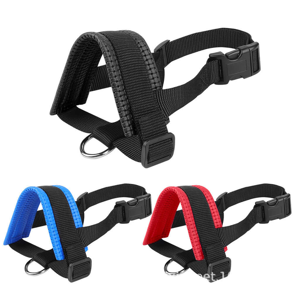 Harnais de sécurité pour chien en nylon, disponible en noir, bleu et rouge, idéal pour balades et dressage.