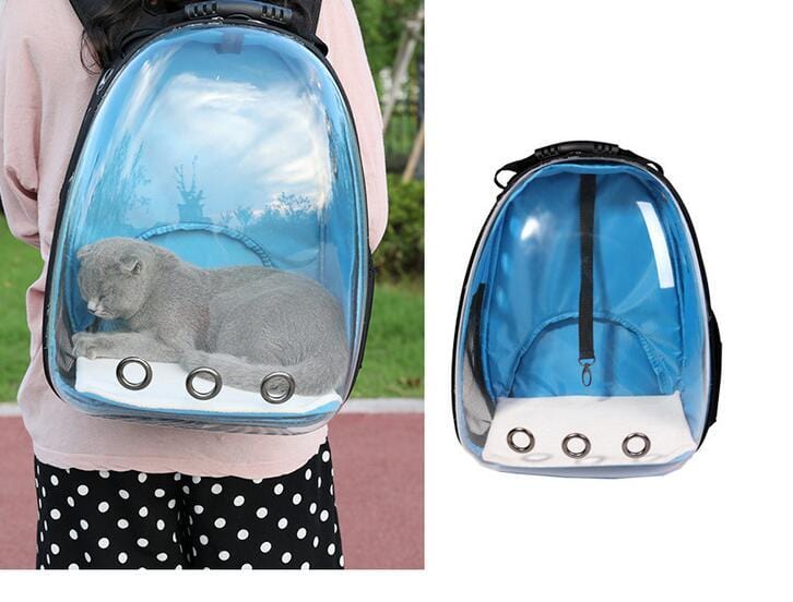 Sac à dos transparent pour animaux de compagnie avec un chat gris à l'intérieur, couleurs vives et design moderne.