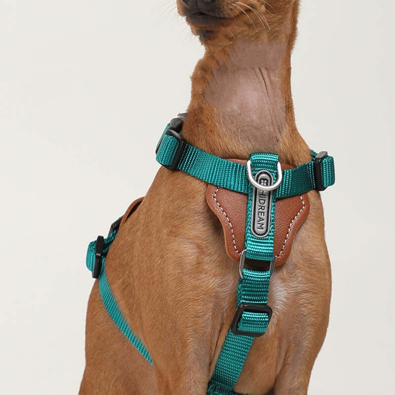 Harnais de sécurité en nylon vert pour chien, idéal pour le confort et la sécurité des animaux.