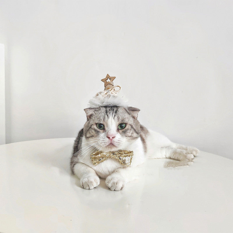 Chat avec un chapeau d'anniversaire en sequins or et argent et un nœud papillon, sur une table.