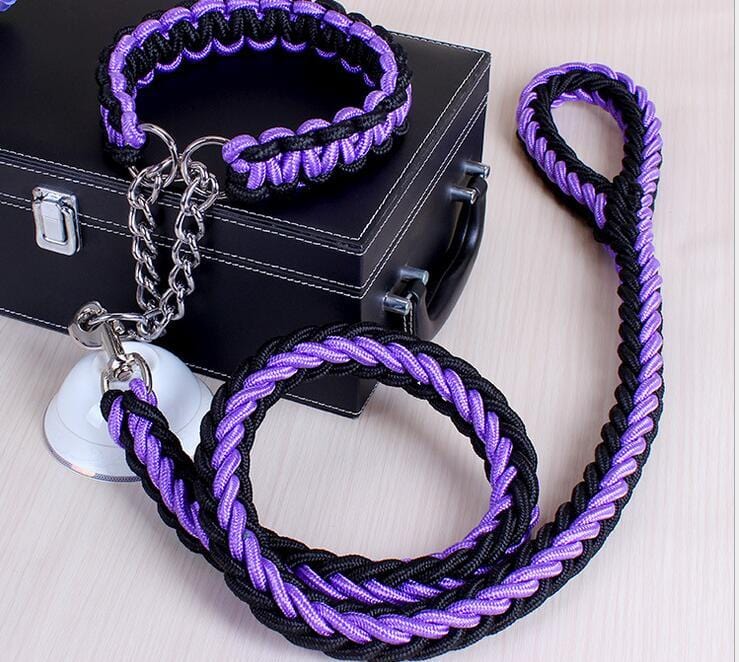 Collier et laisse pour chien en tissu résistant noir et violet, parfait pour confort et sécurité lors des promenades.