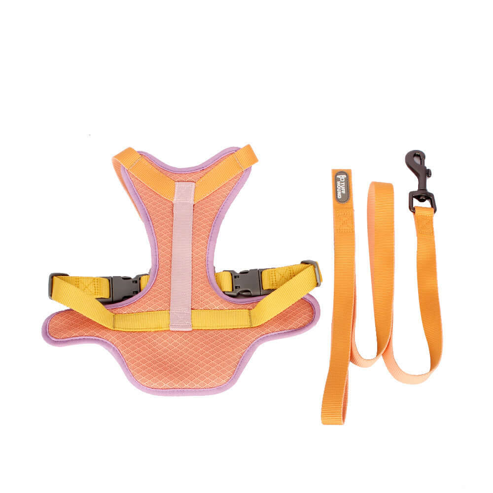 Harnais de poitrine pour chien en tissu confortable avec laisse assortie, parfait pour la sécurité et le style.