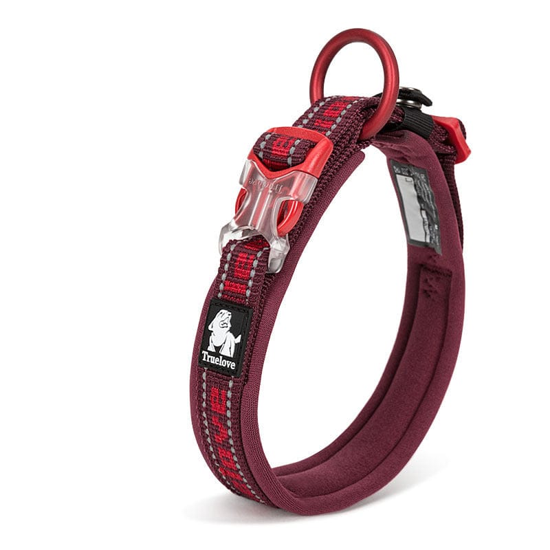 Harnais de collier pour chien grand, confortable et durable, idéal pour l'entraînement avec des matériaux de haute qualité.