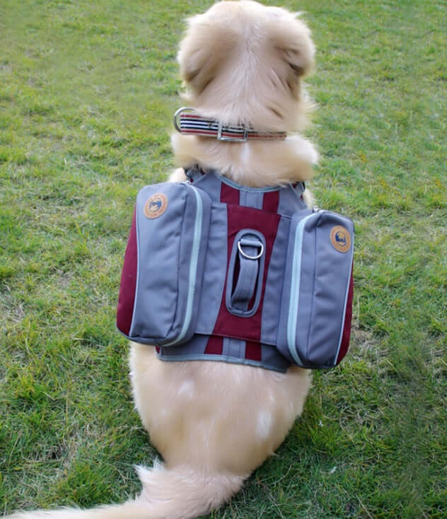Sac à dos de voyage pour chien, léger et résistant, idéal pour les aventures en extérieur.