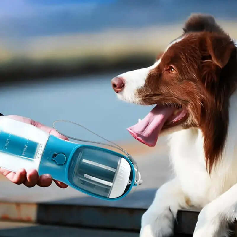 Gobelet d'eau portable pour chiens, idéal pour les promenades avec un compartiment pour nourriture et sacs à déchets.