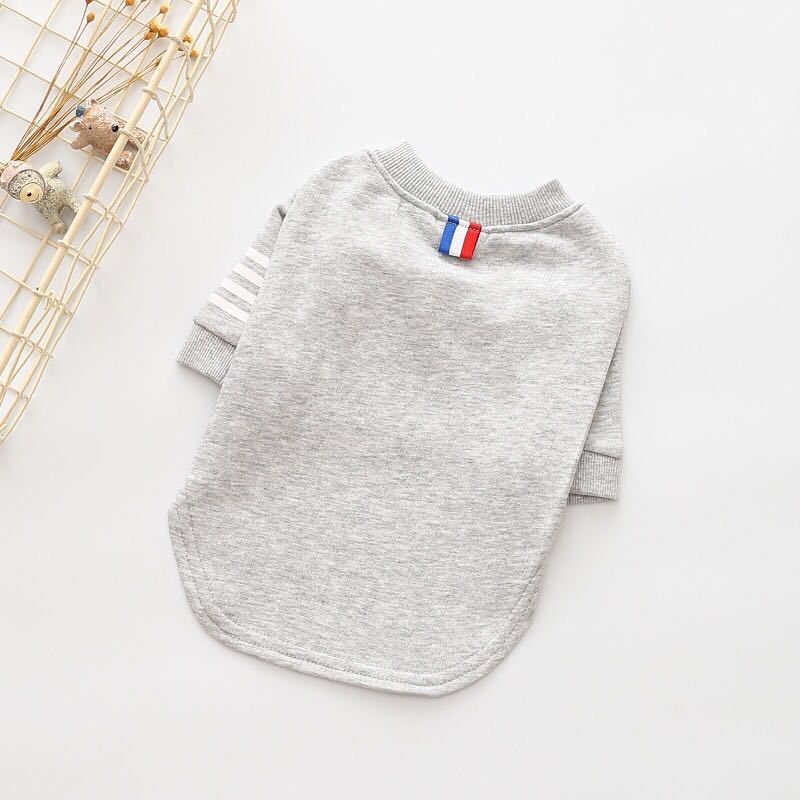 Pull pour chien en coton gris, confortable et stylé, parfait pour les sorties hivernales.