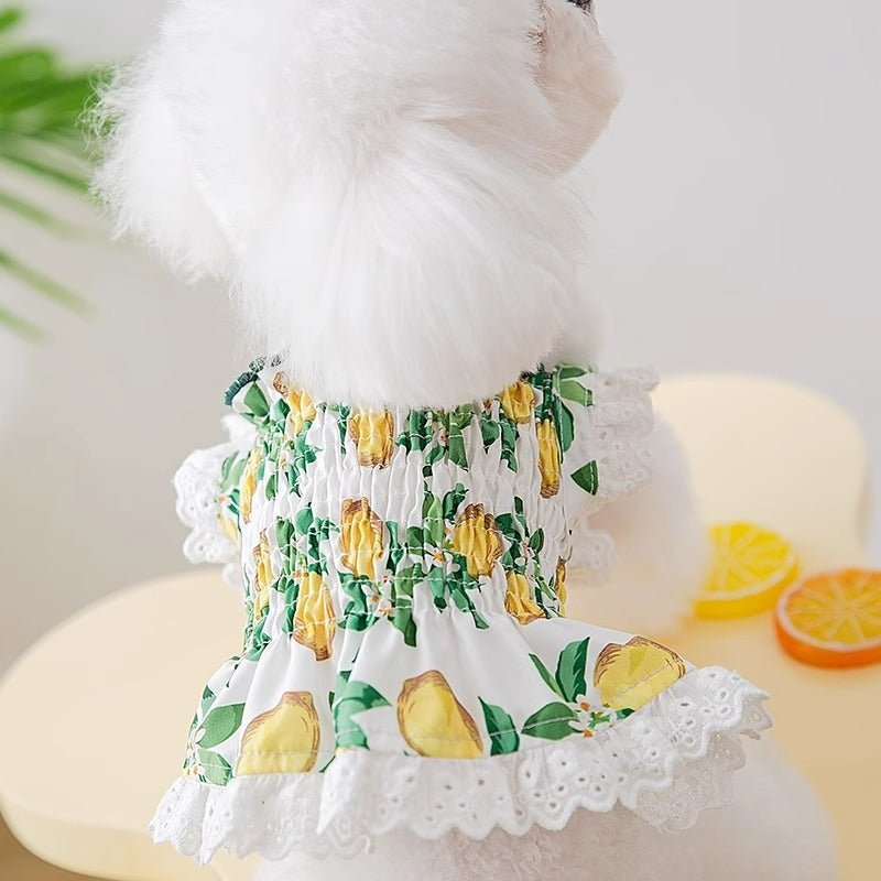 Jupe Respirante pour Chien - Style Princesse