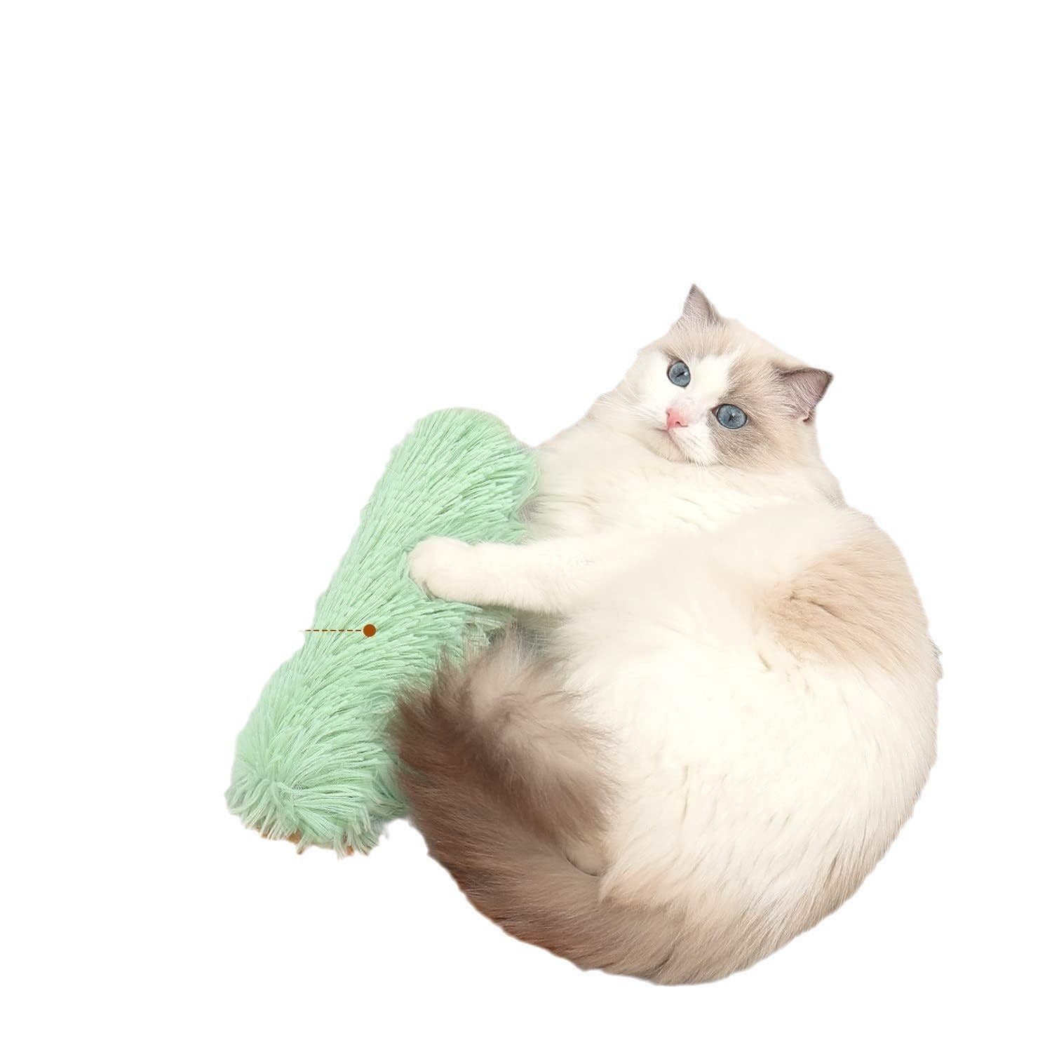 Coussin Jouet Créatif pour Chats