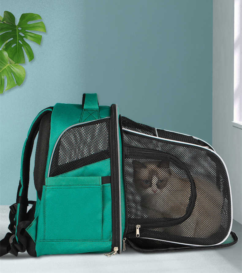 Sac à dos portable pour animaux en tissu vert avec un chat à l'intérieur, idéal pour les promenades et voyages.