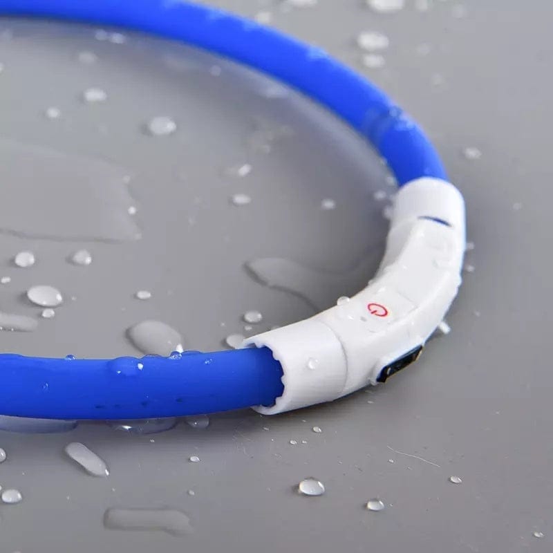 Collier lumineux anti-perte pour chien, imperméable, conçu pour assurer visibilité et sécurité.