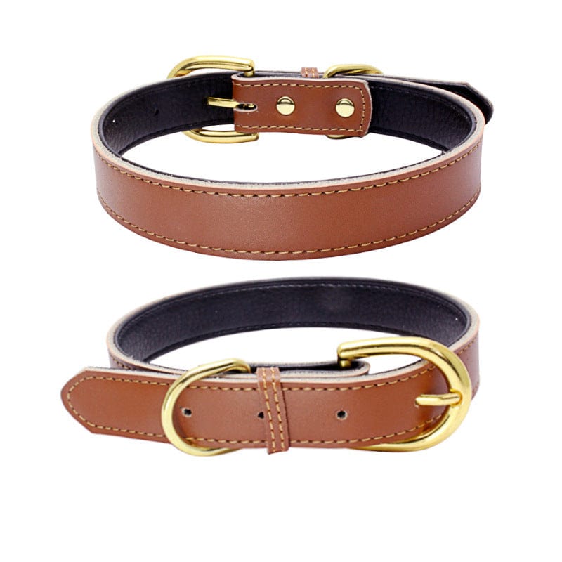 Collier en cuir pour chien en peau de vache avec boucle dorée, durabilité et confort pour animaux de compagnie.