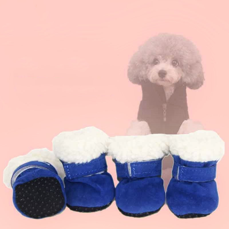 Bottes d'hiver imperméables pour chiens, idéales pour protéger les pattes des petites races comme le Poodle.