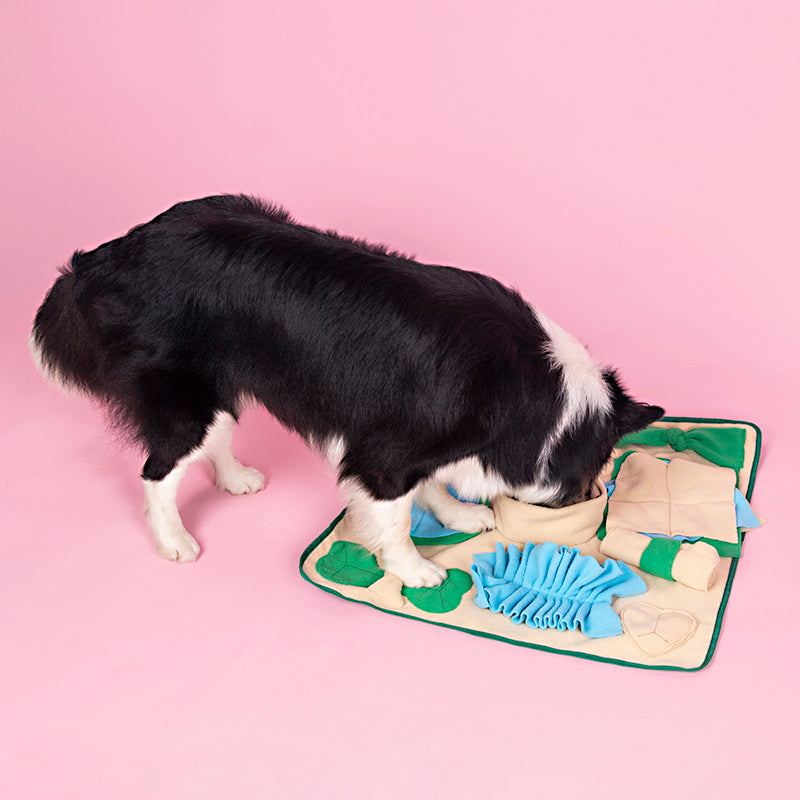 Tapis d'Enrichissement pour Chiens