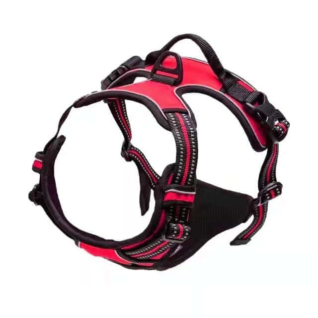 Harnais de sécurité pour chien en rouge et noir, idéal pour la sécurité et le confort lors des promenades.