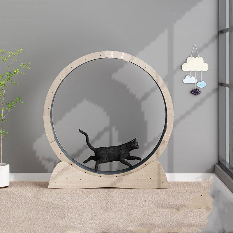 Tapis de course silencieux pour chats en bois, permettant aux félins de faire de l'exercice à l'intérieur.