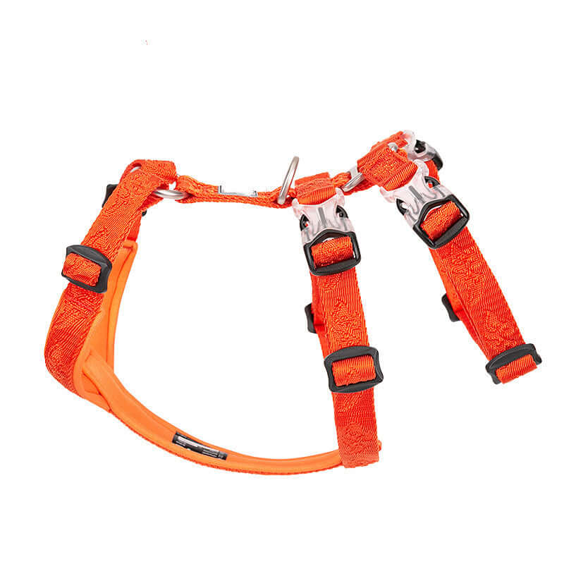Laisse de chien orange avec harnais en nylon, confortable et sécurisé pour les promenades.