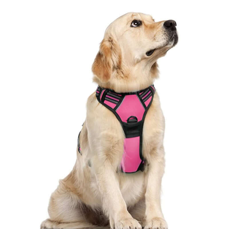 Gilet de chien en nylon rose pour grands chiens, idéal pour promenades et randonnées.