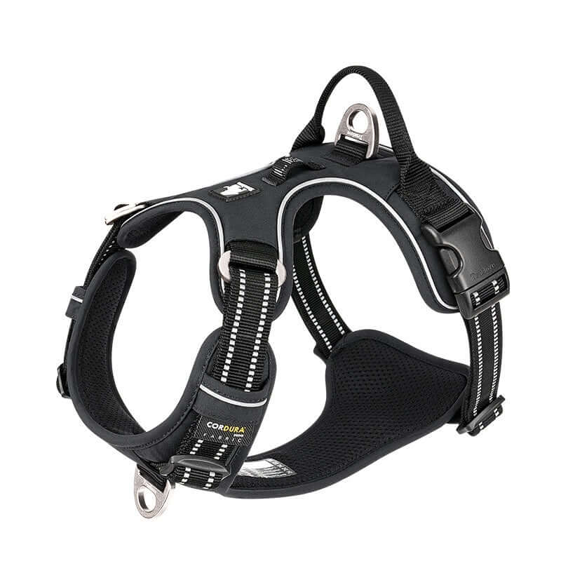 Harnais réfléchissant pour chien noir, conçu pour confort et sécurité, en polyester durable.