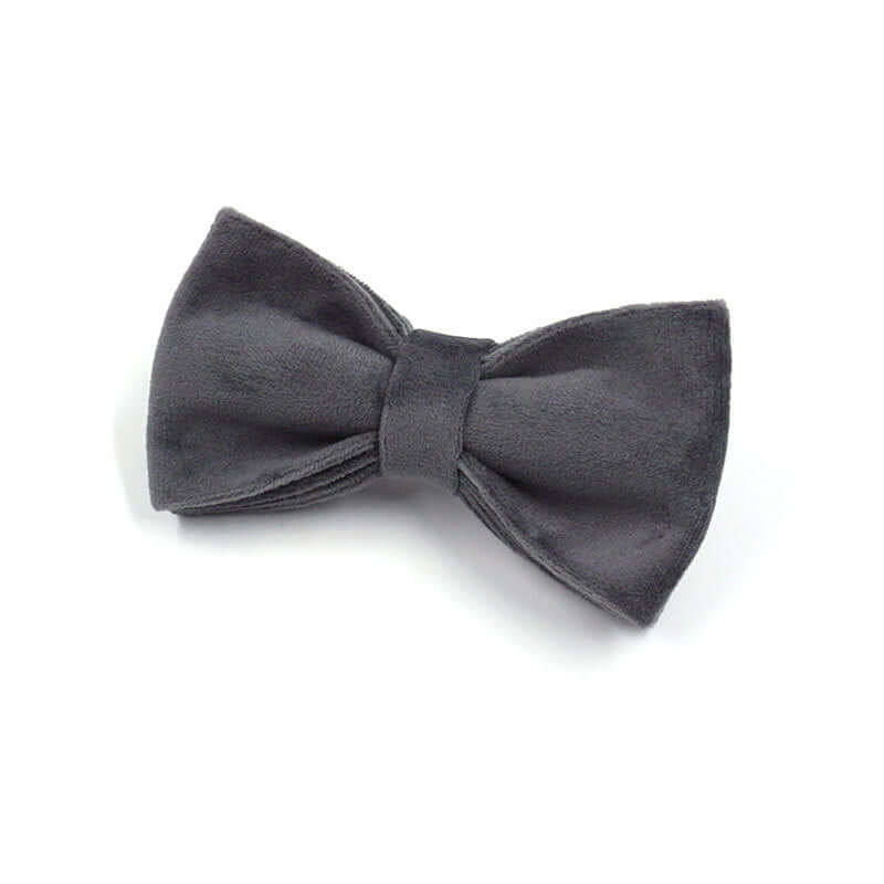 Noir velours accessoire pour animaux, élégant nœud papillon gris foncé pour collier ou laisse.