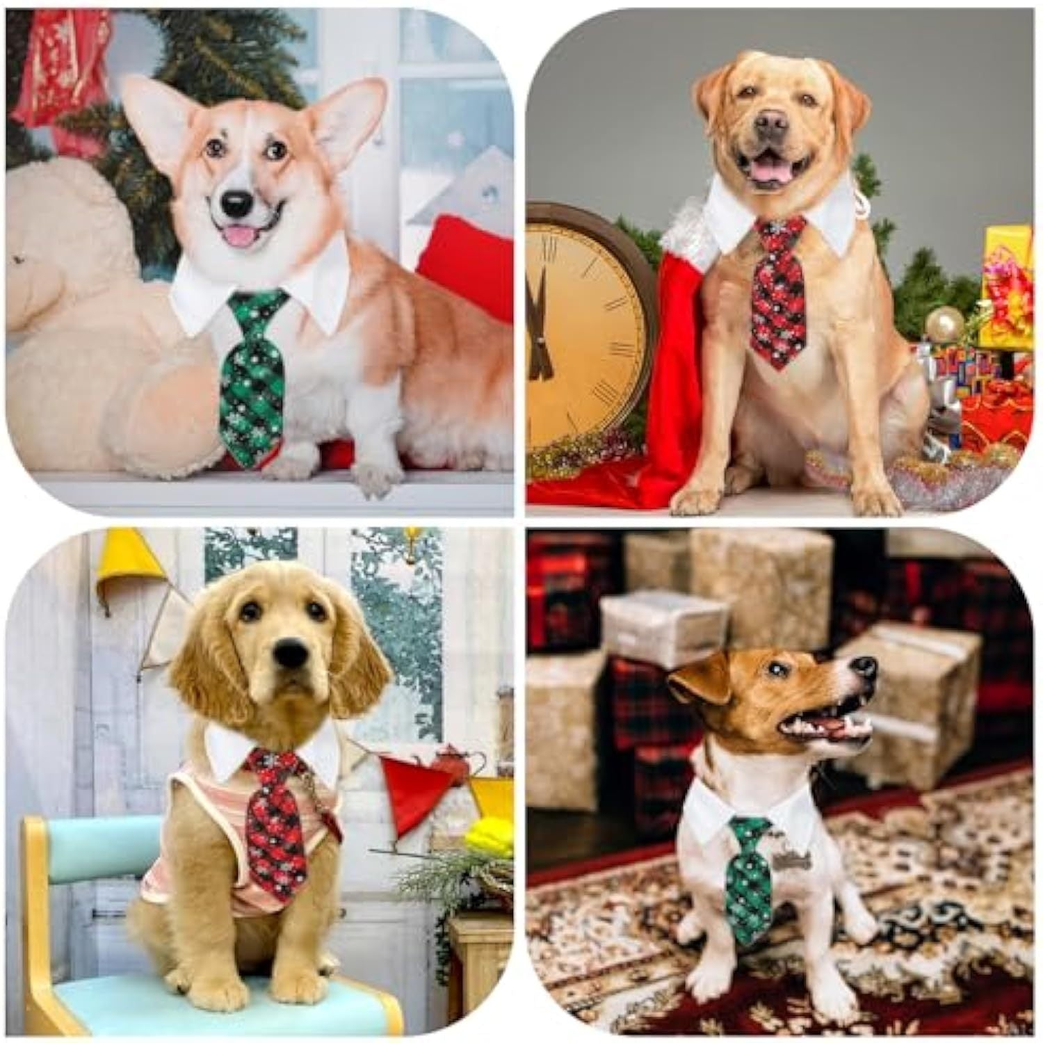 Quatre chiens portant des cravates de Noël élégantes, ajoutant une touche festive aux célébrations.