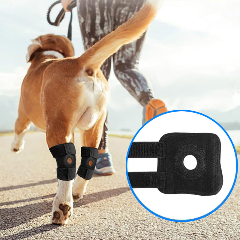 Genouillère pour chien noire offrant protection des articulations pendant la promenade.