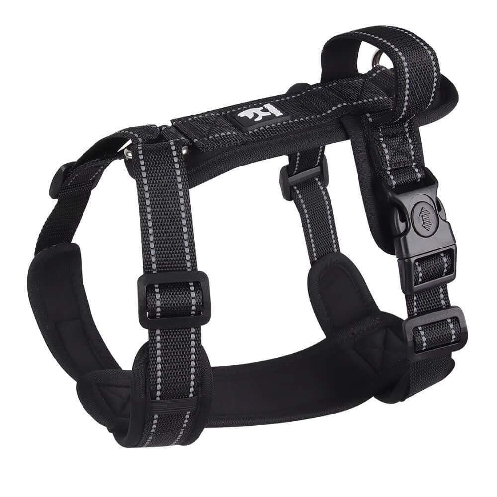 Harnais de sécurité pour chien en noir, conçu pour le confort et la sécurité lors des promenades.