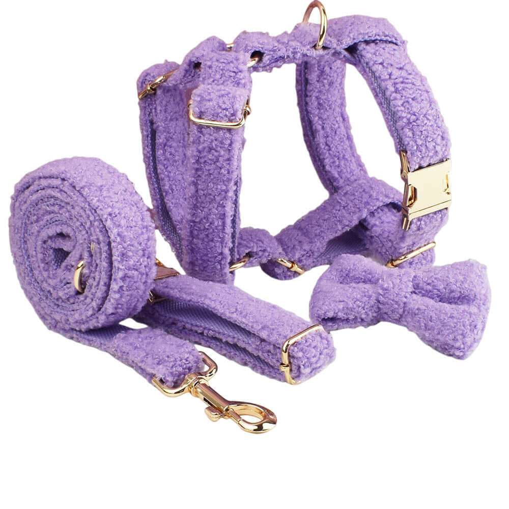 Ensemble violet pour petit chien : collier, laisse, nœud et gilet en coton biologique.