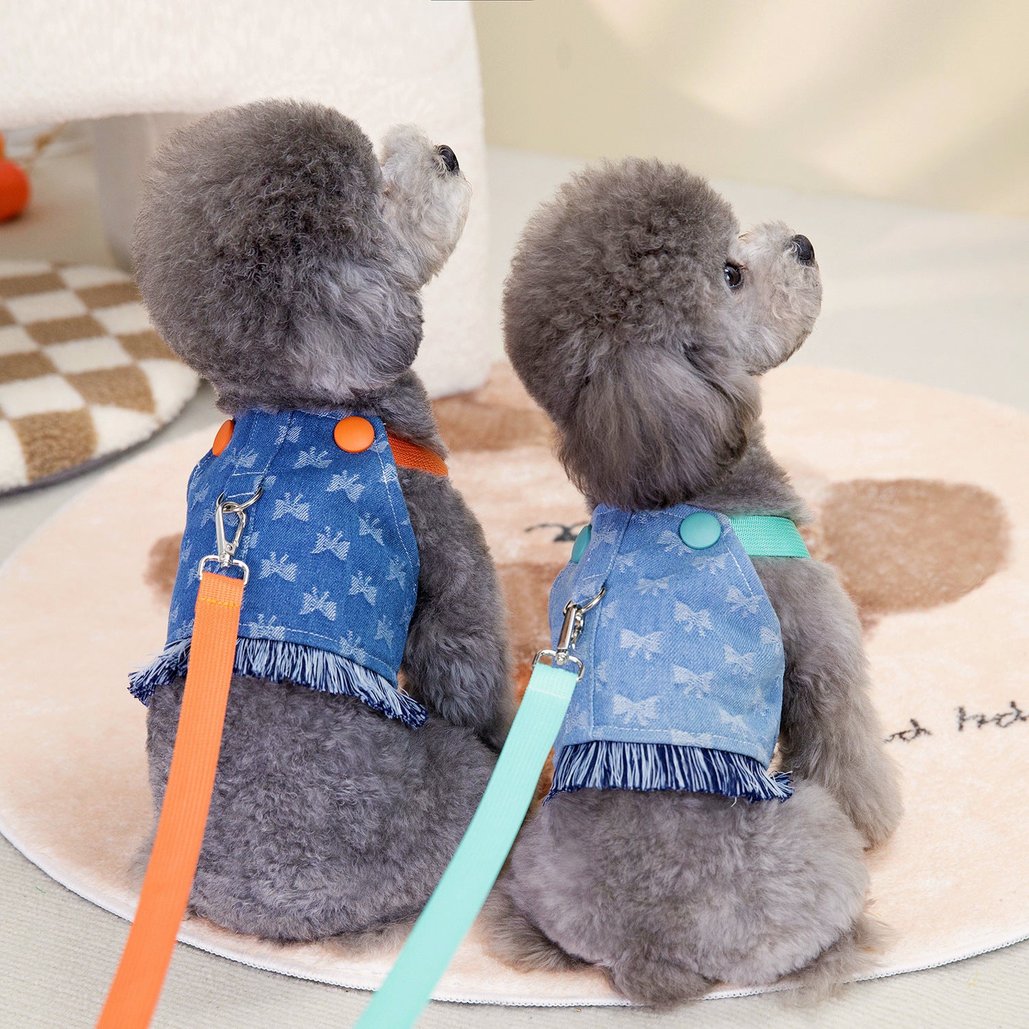 Charming denim dog outfits featuring blue and orange harnesses, perfect for stylish pet outings.