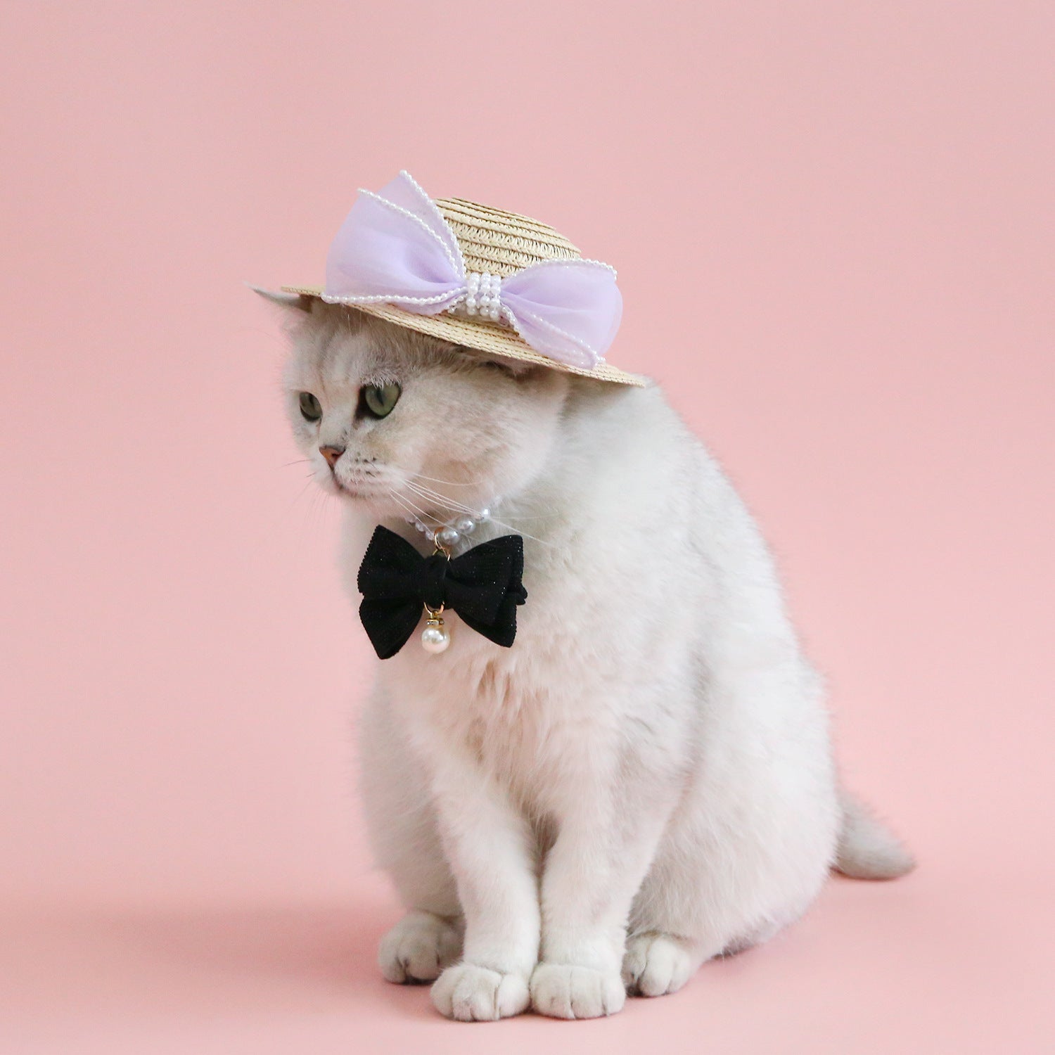 Chat élégant portant un chapeau en paille avec nœud en perles et un nœud papillon noir sur fond rose.