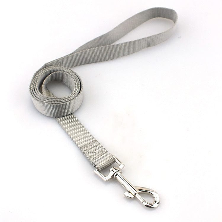 Corde de traction solide en nylon pour chien, idéale pour promenades, sécurité et confort.