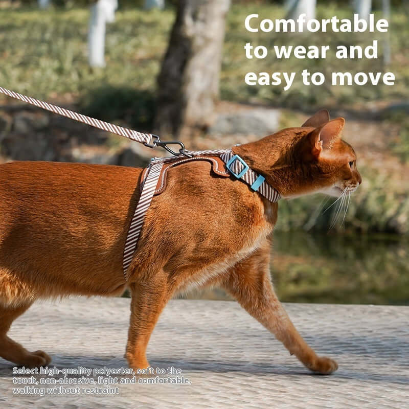 Chat avec harnais, confort et liberté de mouvement, idéal pour les promenades en extérieur.