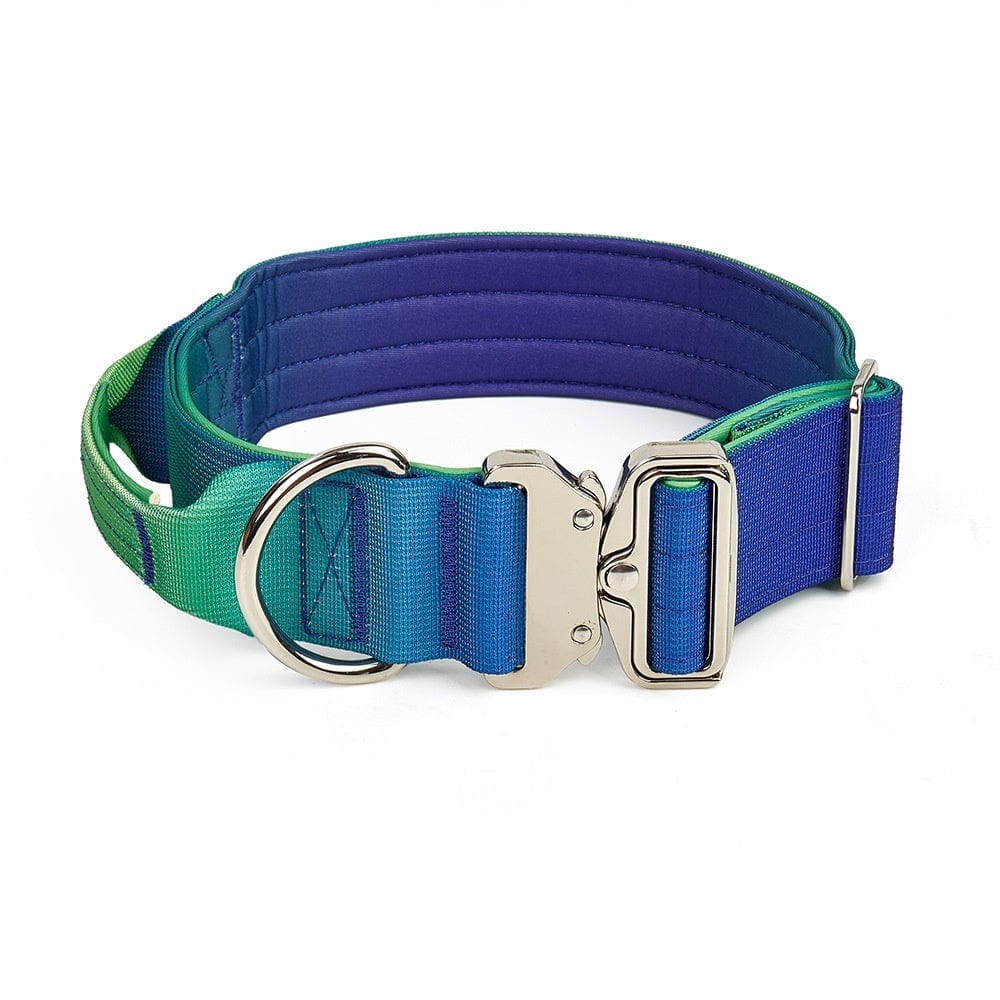 Collier dégradé large pour animaux en vert et bleu, design moderne et confortable.