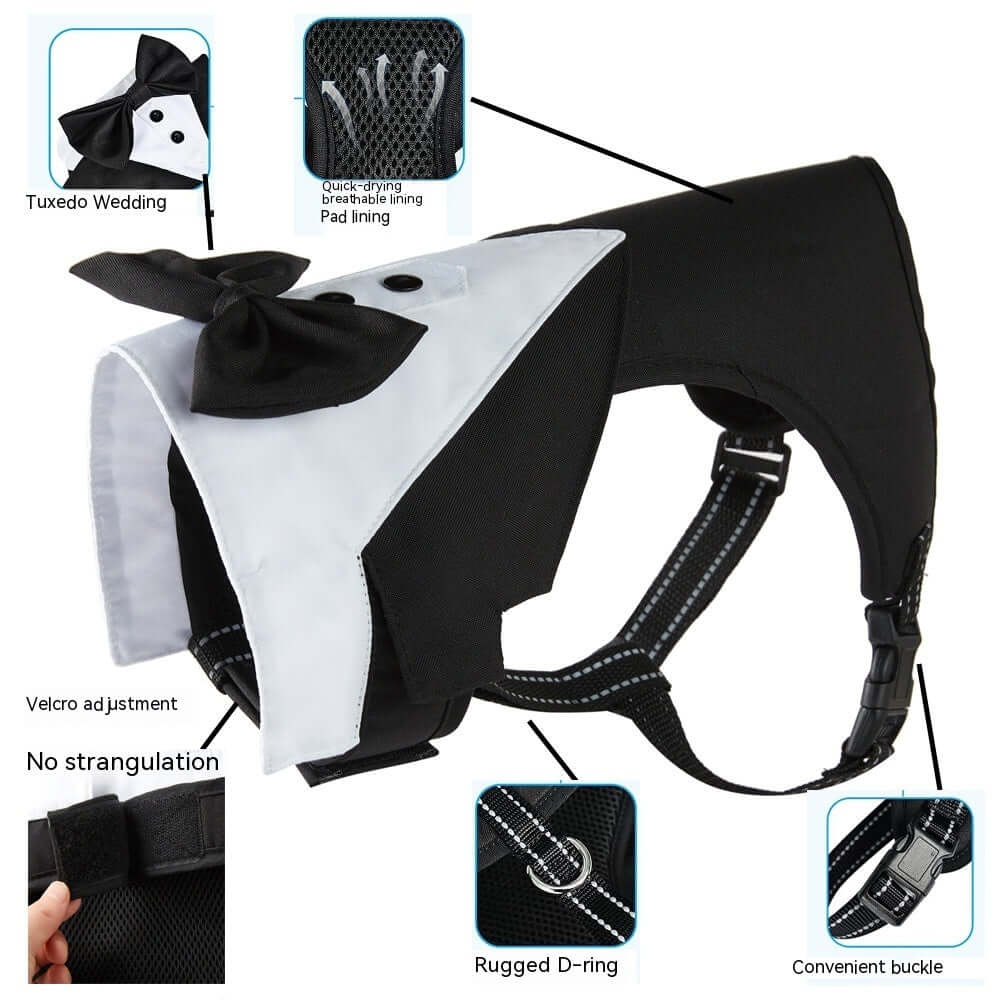 Harnais antidérapant pour animaux avec motif de smoking et ajustement ergonomique.