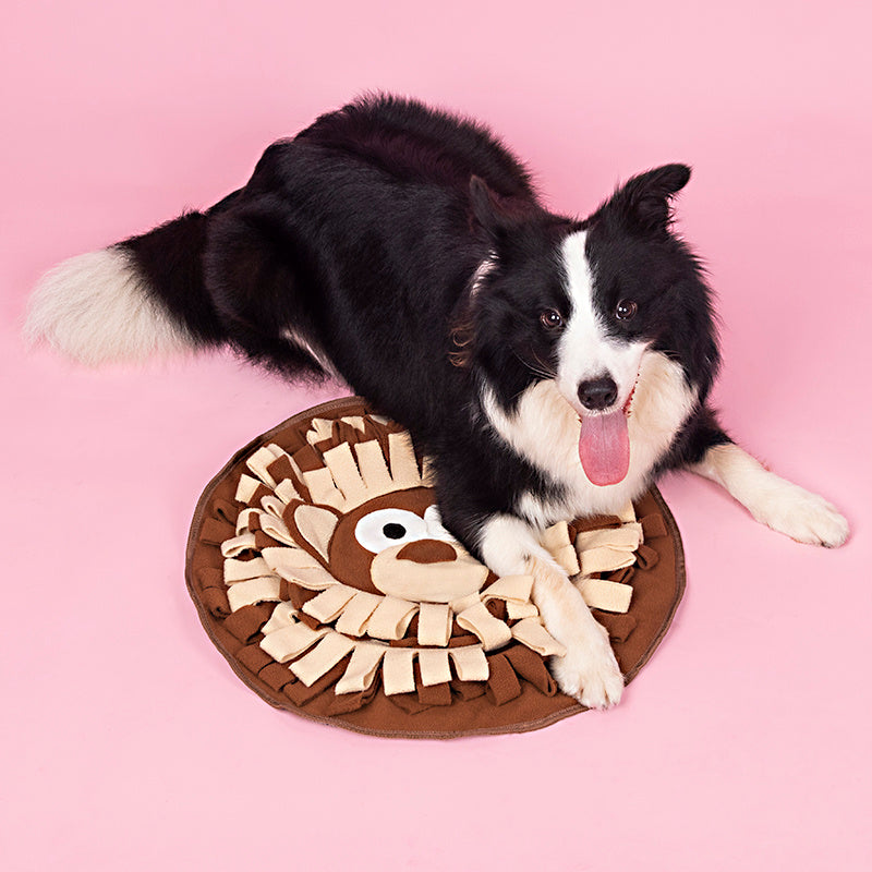 Tapis d'Éveil pour Chiens - Tapis de Nourriture Interactif
