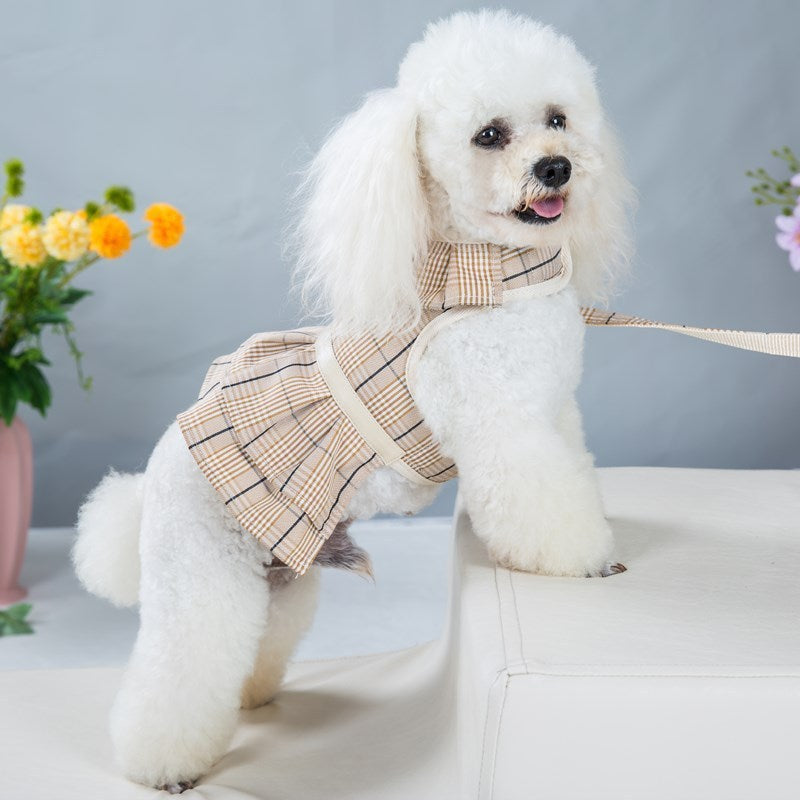 Un poodle blanc portant un harnais à carreaux et une laisse, posant avec des fleurs en arrière-plan.