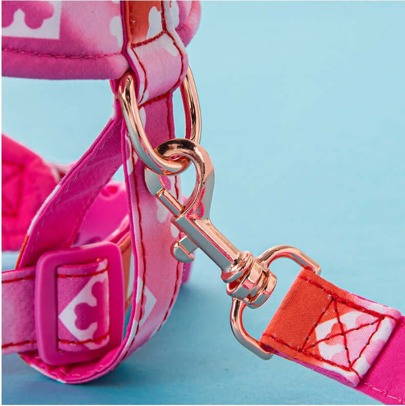 Détail du harnais et corde de traction pour chien en rose, avec clip de sécurité en métal.
