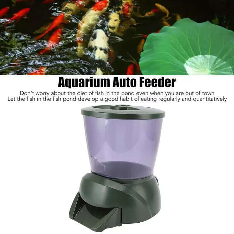 Distributeur automatique de nourriture pour poissons de bassin, idéal pour nourrir poissons pendant les vacances.