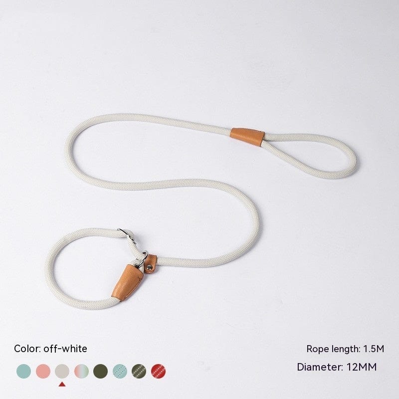 Laisse pour chien en nylon tressé de 1.5M, coloris off-white, avec attache en cuir, adaptée pour toutes les tailles de chiens.